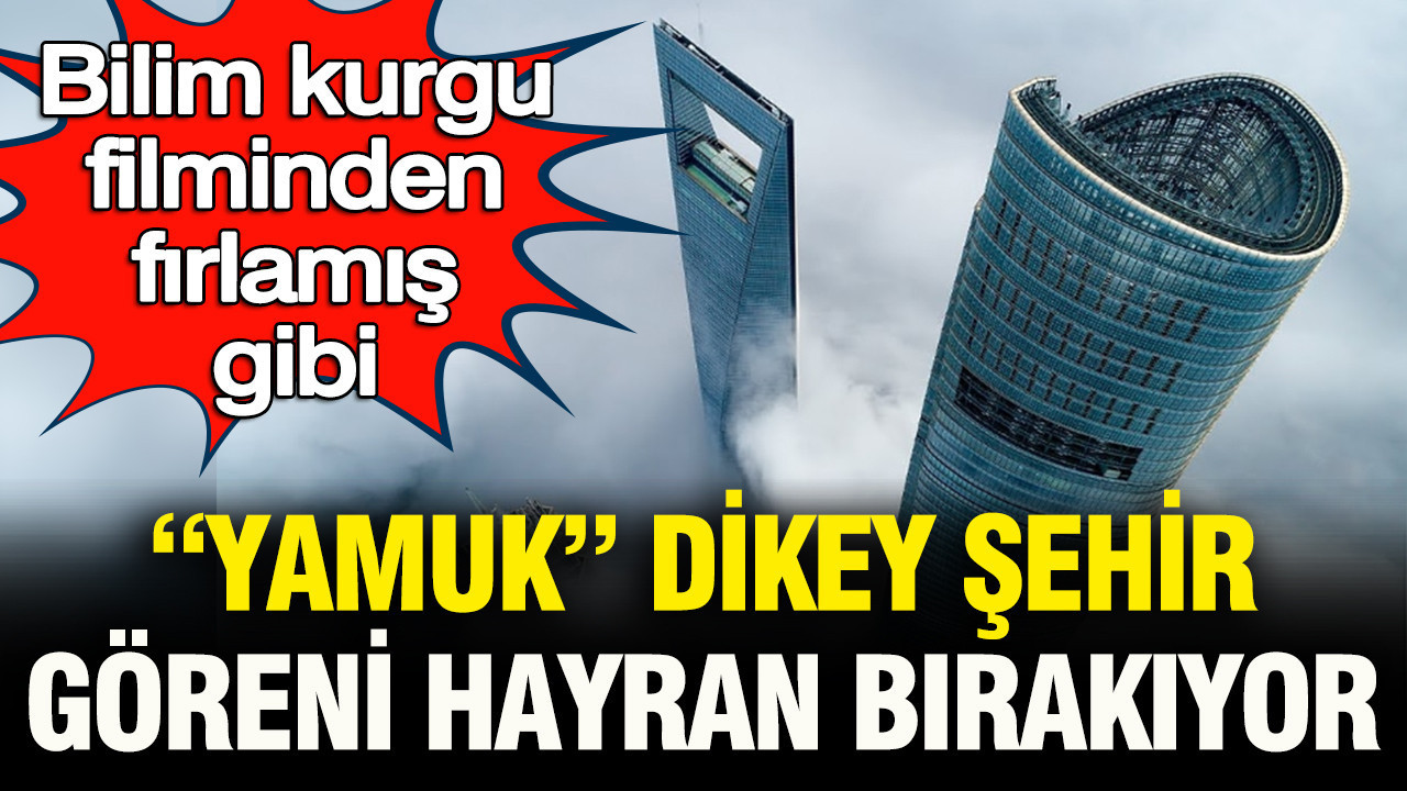 Bilim kurgu filminden fırlamış gibi: “Yamuk” dikey şehir hayran bırakıyor Img